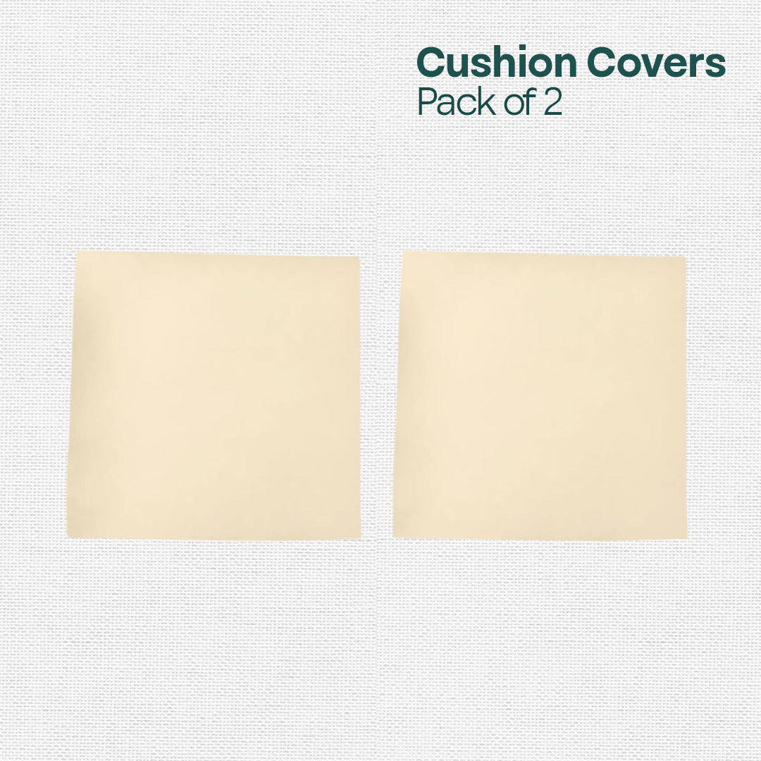 Cream Carnation! Premium Velvet Cushion Covers, Pack of 2