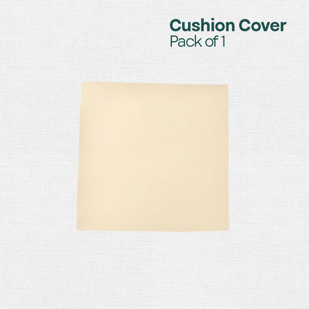 Cream Carnation! Premium Velvet Cushion Covers, Pack of 1