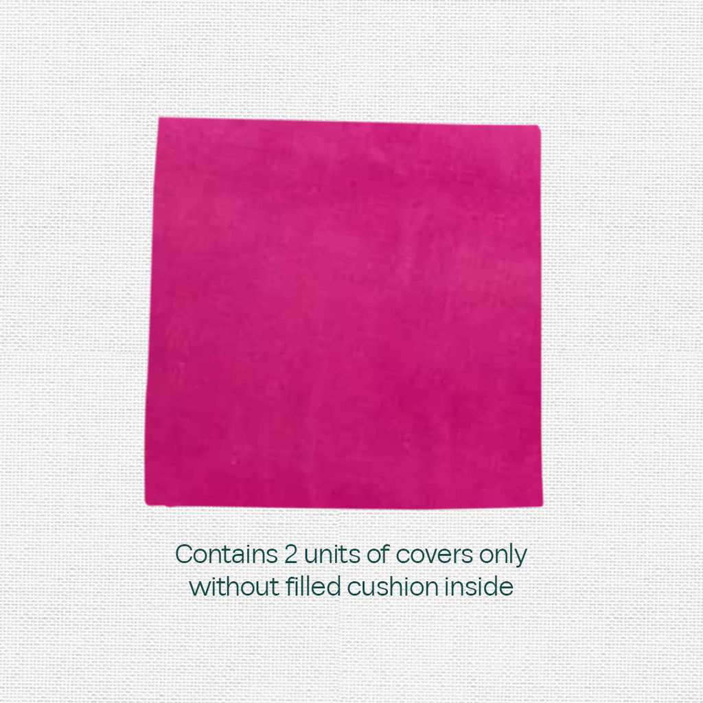 Pink Plush! Premium Velvet Cushion Covers, Pack of 2