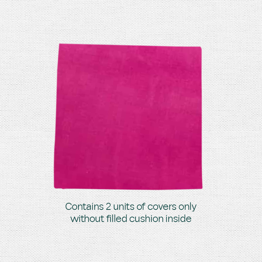 Pink Plush! Premium Velvet Cushion Covers, Pack of 2