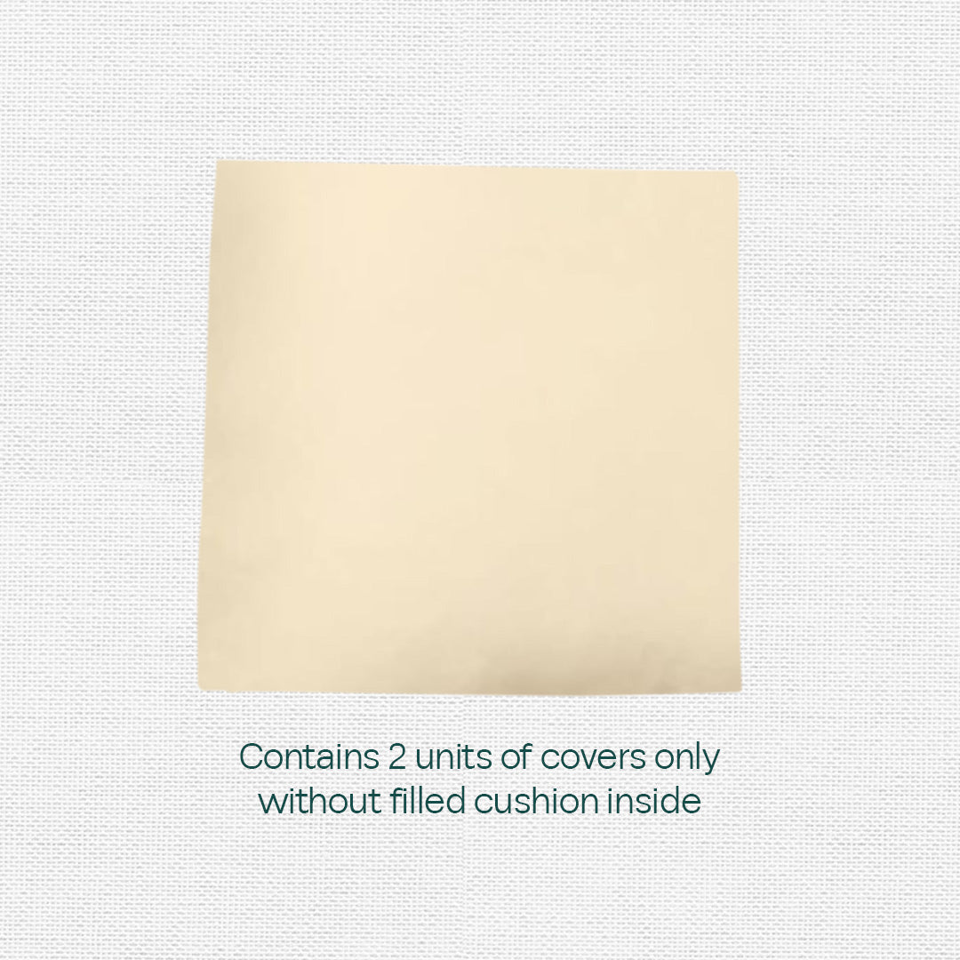Cream Carnation! Premium Velvet Cushion Covers, Pack of 2